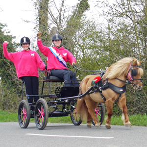 Indoor Carriage Driving Championships - Winner - Small Pony Class